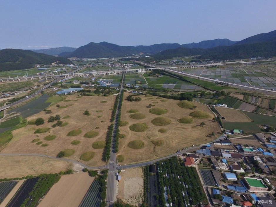 2026 진해군항제 벚꽃 여행: 지유가 알려주는 K-컬처 정수!