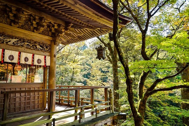 2026 일본 경로의 날 여행, 핵심만 정리했어요!