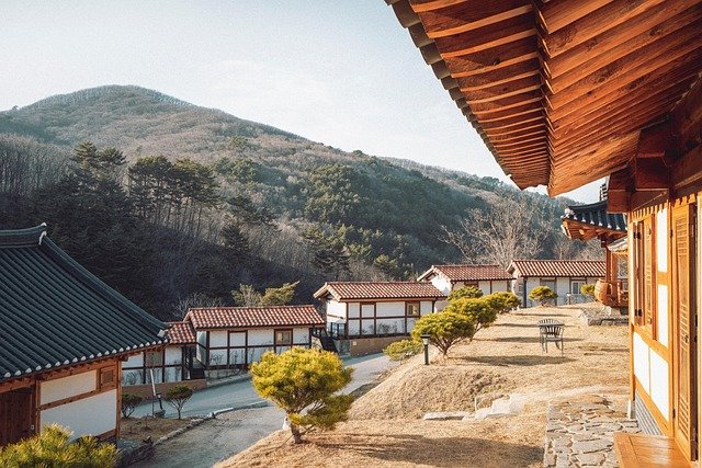 December Solstice (동지) 2026년, 한국에서 따뜻하게 보내는 방법 총정리!