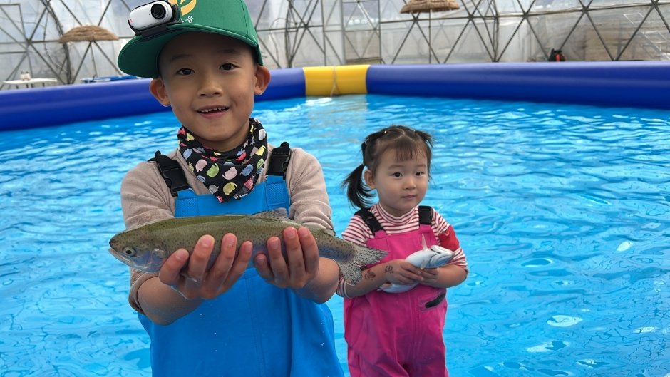 2026 양평빙송어축제: 겨울 왕국 완벽 가이드!